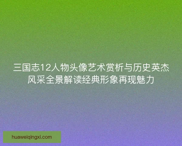 三国志12人物头像艺术赏析与历史英杰风采全景解读经典形象再现魅力