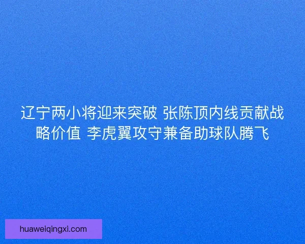 辽宁两小将迎来突破 张陈顶内线贡献战略价值 李虎翼攻守兼备助球队腾飞